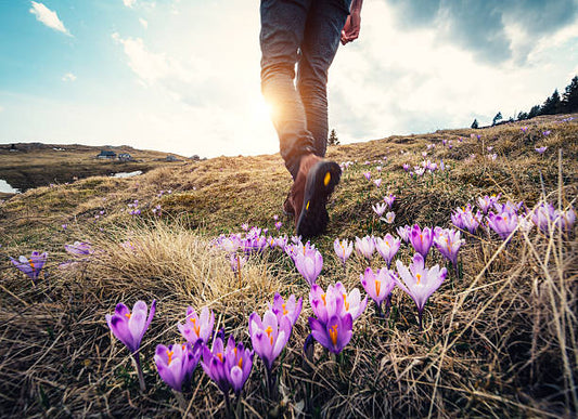 Embrace the Great Outdoors: Your Guide to Spring Hiking and Nature Exploration